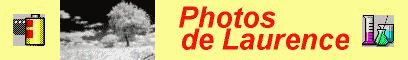 http://perso.wanadoo.fr/lc.tondu/laurento/